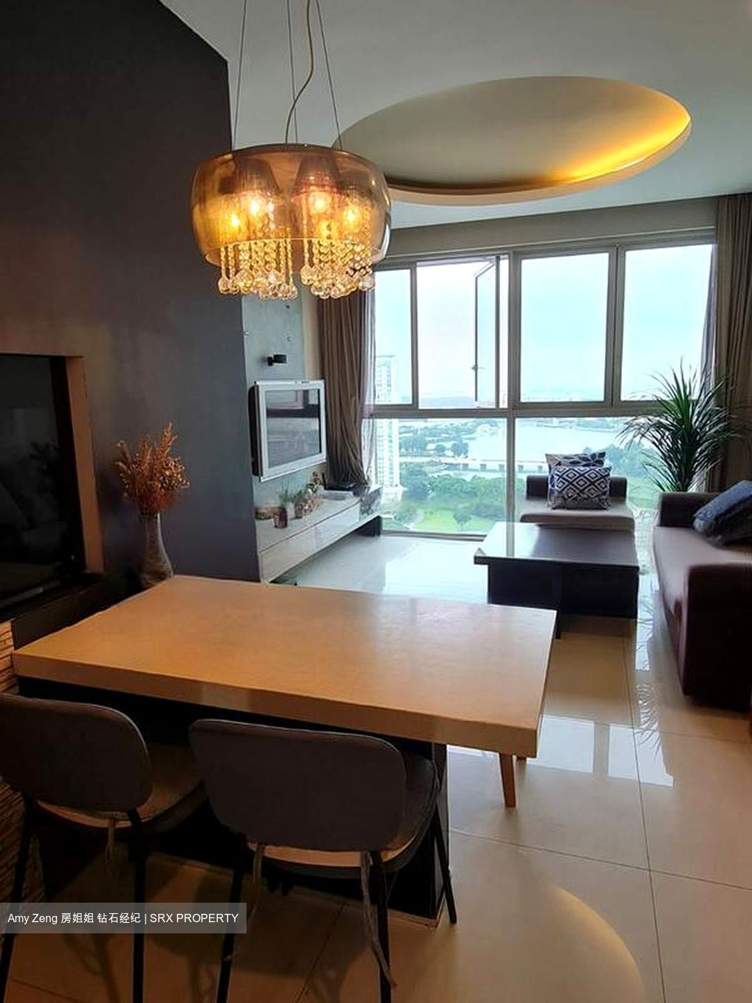 Citylights (D8), Condominium #459403411